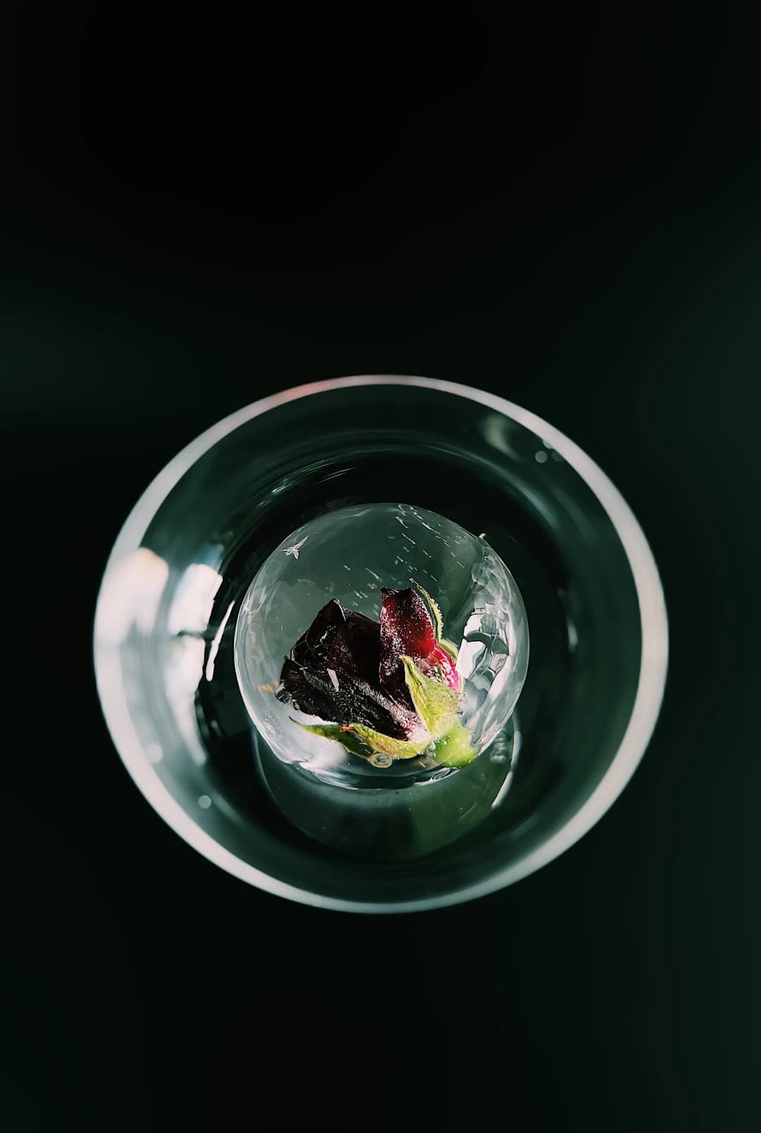 Champagne Glass